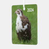 草の中のコトルニックスウズラ メタルオーナメント (正面左)