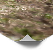 草の中のジャッカル ポスター (角)