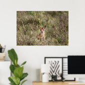 草の中のジャッカル ポスター (ホームオフィス)