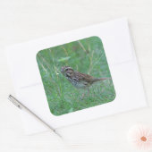 草の中のソングスズメ スクエアシール (封筒)