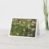 草の中のデイジー カード (正面)