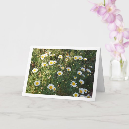 草の中のデイジー カード (蘭)