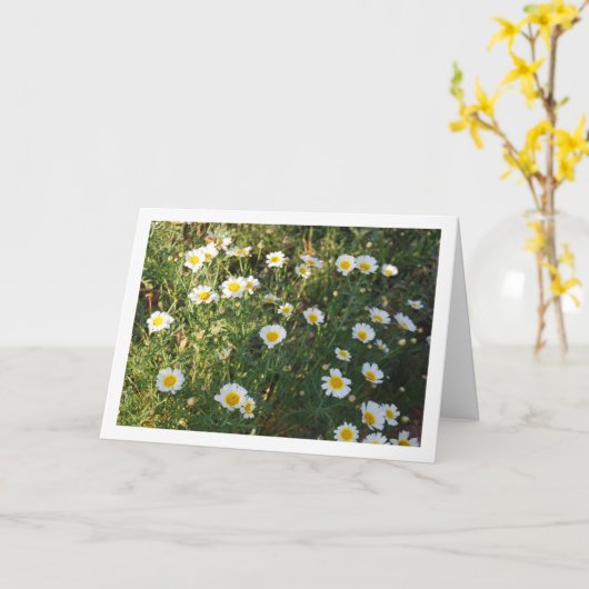 草の中のデイジー カード (黄色い花)