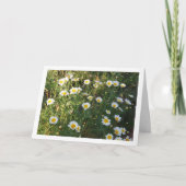 草の中のデイジー カード (正面)