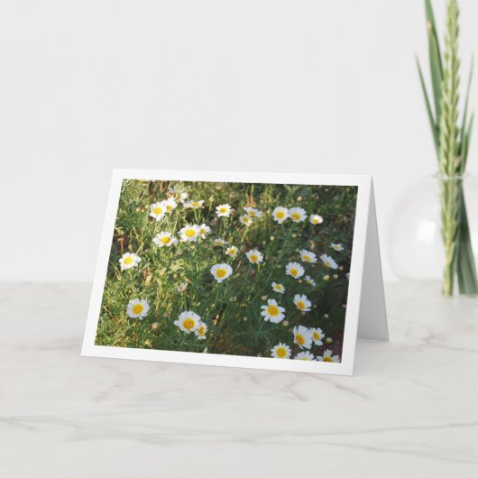 草の中のデイジー カード (正面)