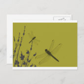 草の中のトンボ ポストカード (正面/裏面)