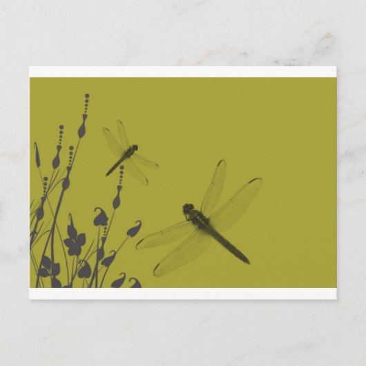 草の中のトンボ ポストカード (正面)