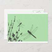 草の中のトンボ ポストカード (正面/裏面)
