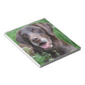 草の中のドイツの短冊ポインタの犬 ノートパッド (アングル)