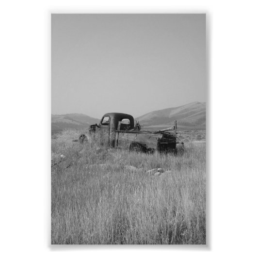 草の中のフォトトラック フォトプリント            (正面)