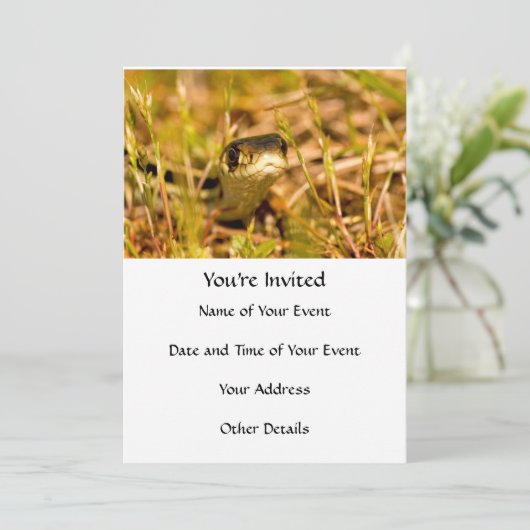 草の中のヘビ 招待状 (スタンド正面)