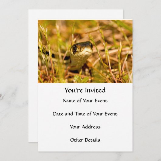 草の中のヘビ 招待状 (正面/裏面)