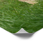 草の中のライオンの子 ポスター (角)