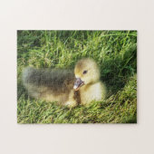 草の中の可愛い子 ジグソーパズル (横)