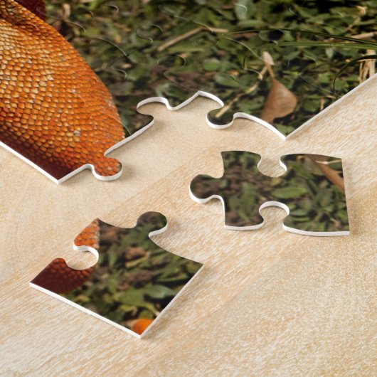 草の中の大きな大人の緑のイグアナトカゲ ジグソーパズル (側面)