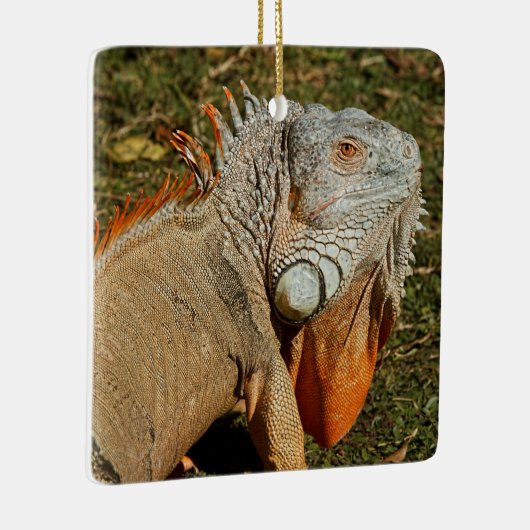 草の中の大きな大人の緑のイグアナトカゲ セラミックオーナメント (右)