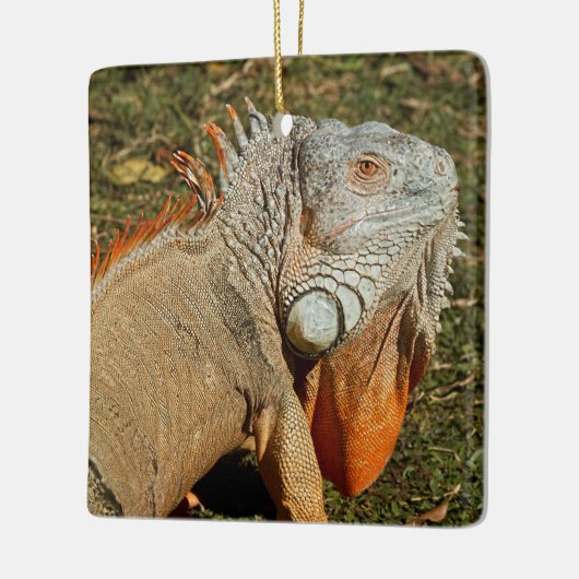 草の中の大きな大人の緑のイグアナトカゲ セラミックオーナメント (左)