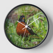 草の中の奇妙なアメリカンロビンの鳴き鳥 壁時計 (正面)