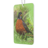 草の中の奇妙なアメリカンロビンソンバード カーエアーフレッシュナー (左)