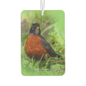 草の中の奇妙なアメリカンロビンソンバード カーエアーフレッシュナー (裏面)