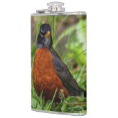 草の中の奇妙なアメリカンロビンソンバード フラスク (左)