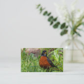 草の中の奇妙なアメリカンロビンソンバード 名刺 (スタンド正面)