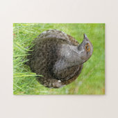 草の中の心地よい美しいグロース ジグソーパズル (横)