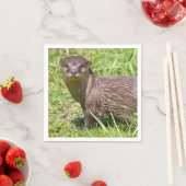 草の中の東洋の小さく爪のあるオーター スタンダードカクテルナプキン (インサイチュ)