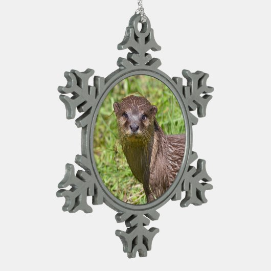 草の中の東洋の小さく爪のあるオーター スノーフレークピューターオーナメント (左)