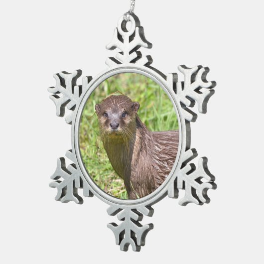 草の中の東洋の小さく爪のあるオーター スノーフレークピューターオーナメント (右)