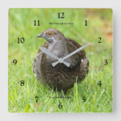 草の中の美しい心地よいグロースのゲームバード スクエア壁時計 (正面)