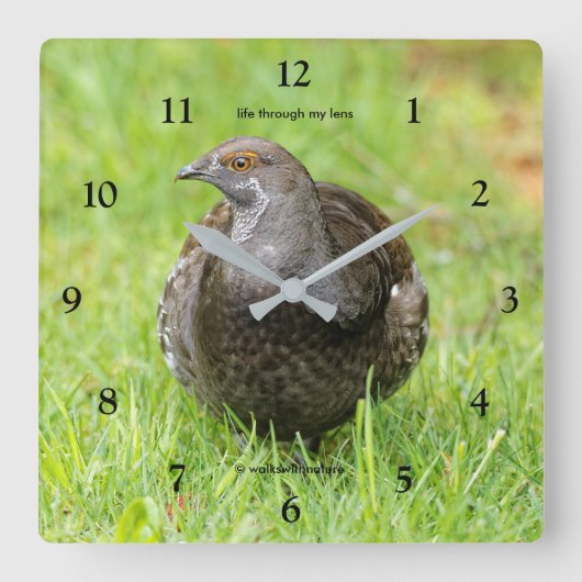草の中の美しい心地よいグロースのゲームバード スクエア壁時計 (正面)