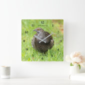 草の中の美しい心地よいグロースのゲームバード スクエア壁時計 (ホーム)