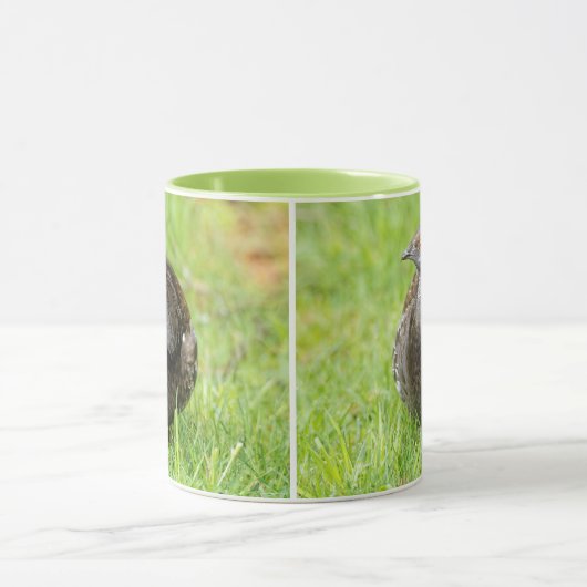 草の中の美しい心地よいグロースのゲームバード マグカップ (中央)
