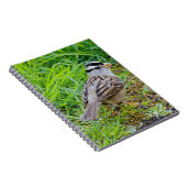 草の中の美しい白い冠の雀 ノートブック (右側)