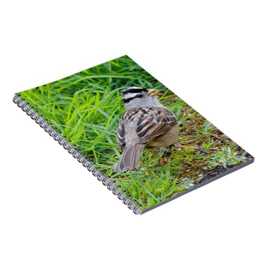 草の中の美しい白い冠の雀 ノートブック (右側)