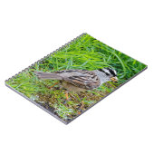 草の中の美しい白い冠の雀 ノートブック (左側)