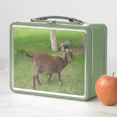 草の中の若い茶色のヤギ メタルランチボックス (インサイチュ)