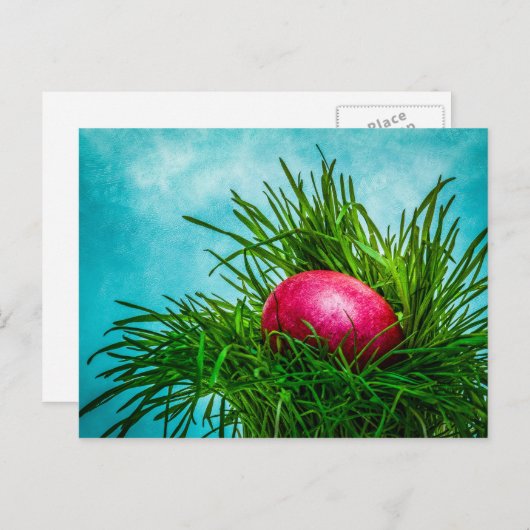 草の中の赤いイースターの卵 シーズンポストカード (正面/裏面)