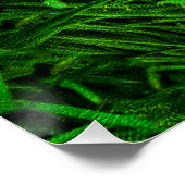 草の中の赤いイースターの卵 ポスター (コーナー)