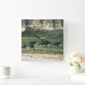 草の中の野生の七面鳥の写真 スクエア壁時計 (ホーム)