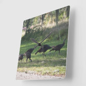 草の中の野生の七面鳥の写真 スクエア壁時計 (傾斜)