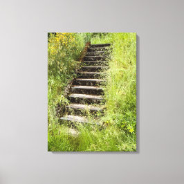 草の中の階段 キャンバスプリント