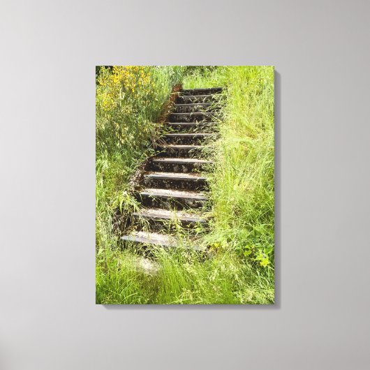 草の中の階段 キャンバスプリント (正面)
