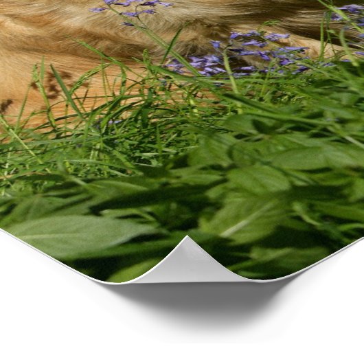 草の中の黄金の宝 ポスター (角)