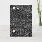 草の中の黒と白のキノコの写真 カード (正面)