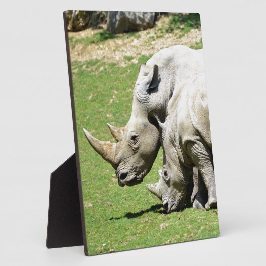 草の中の2匹の白いサイ フォトプラーク (側面)