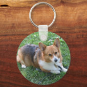 草の中の3色のペム キーホルダー (正面)