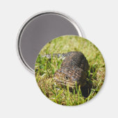 草の中を這う青い舌のトカゲ マグネット (正面/裏面)