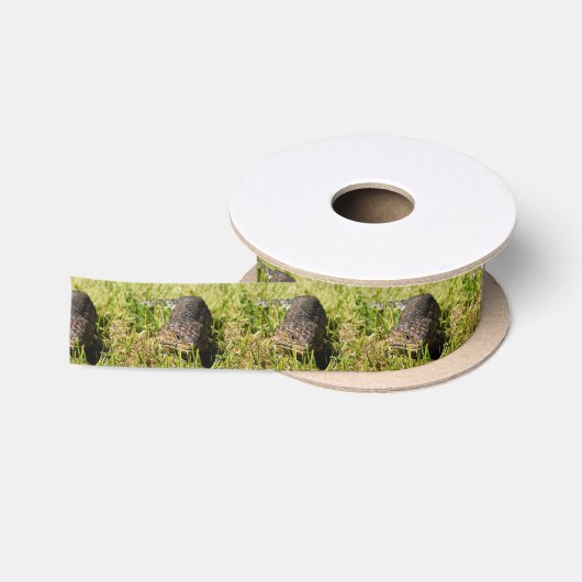草の中を青い舌のトカゲが這っている サテンリボン (リール)